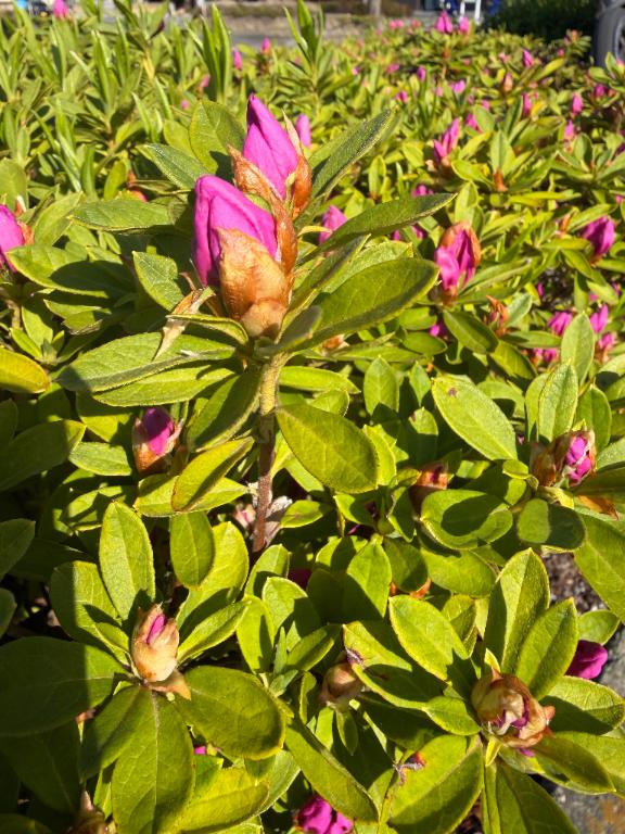 こころ木曜日❤️