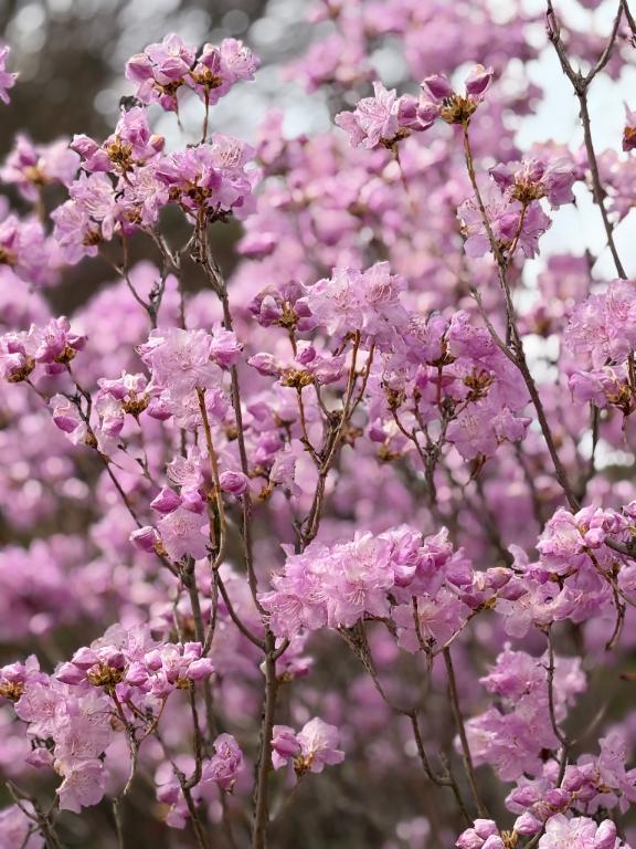 素敵なご縁に。