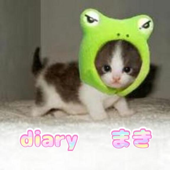 お礼日記です✨