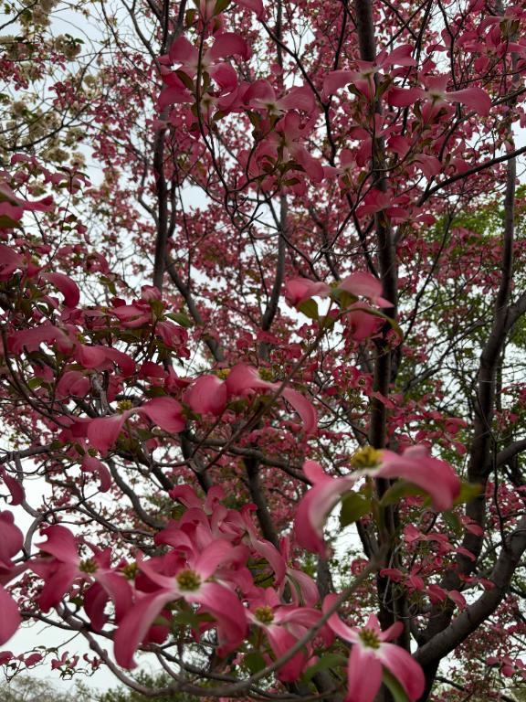 休日こころの今日の予定❤️