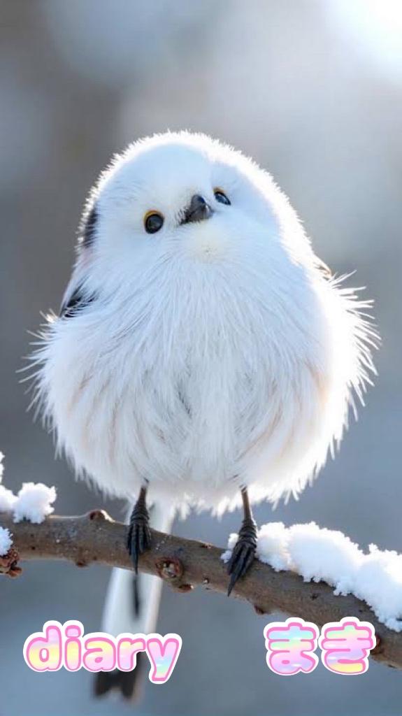 わたしのトリセツ😘