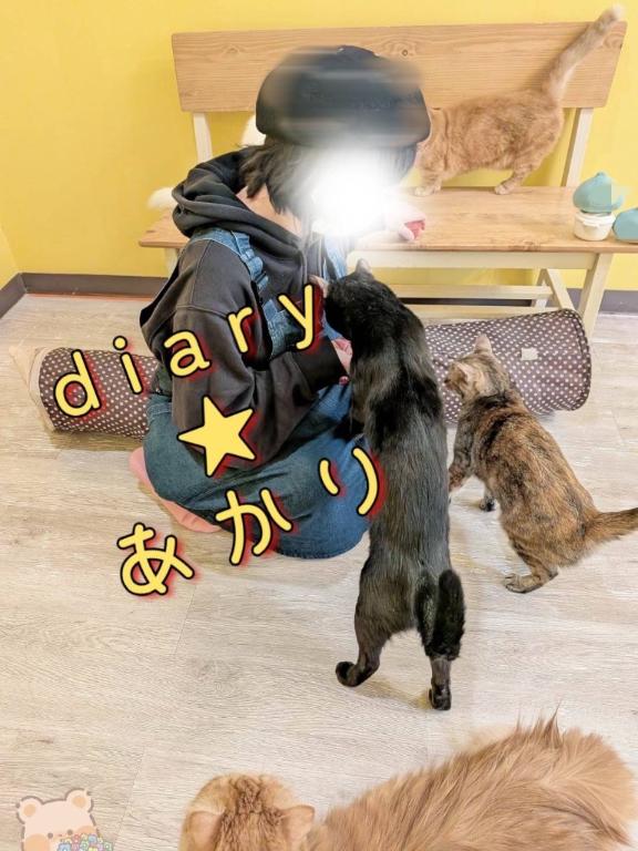 あかり