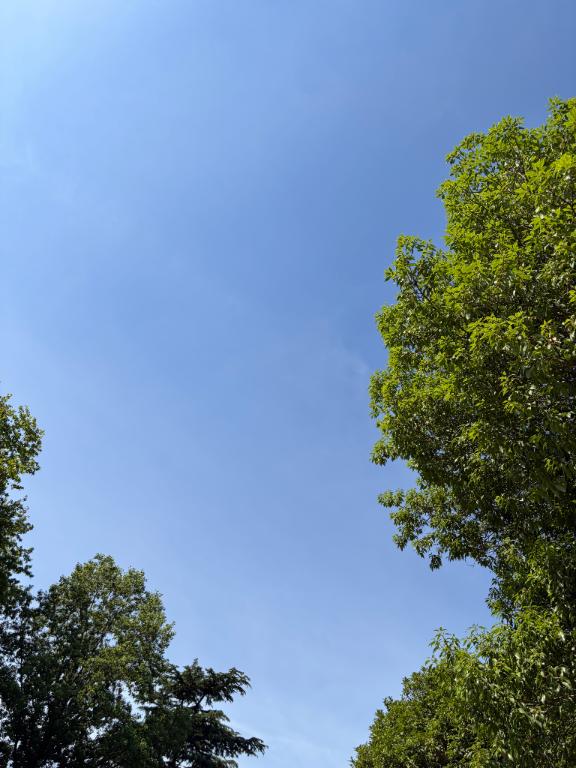 こころ青空が気持ちいい❤️