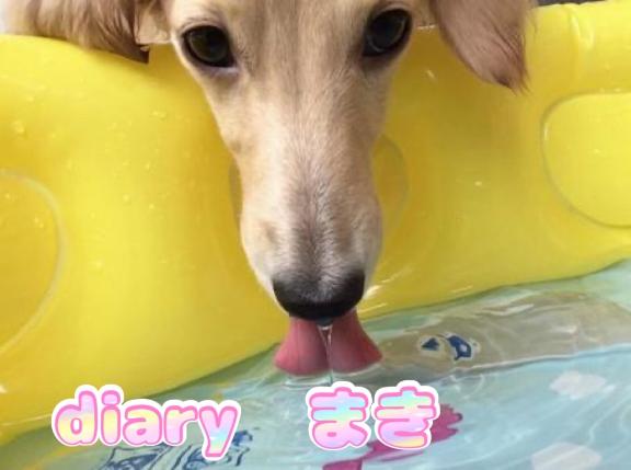 まき