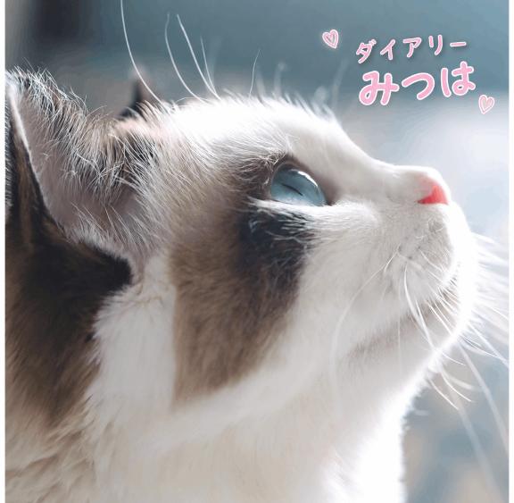 みつは