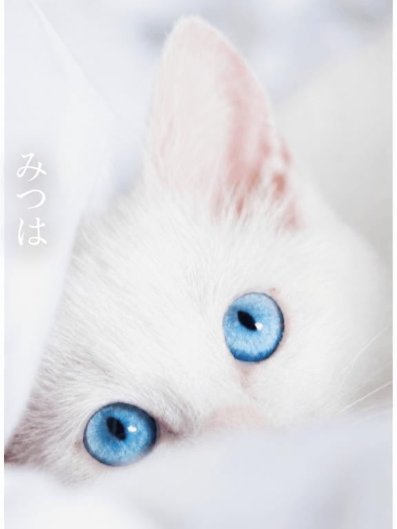 こんな話題がありました💭