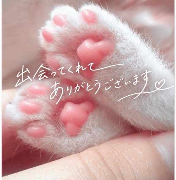 🩵O様💌
