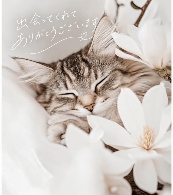 🩵M様💌 スベスベ天使👼