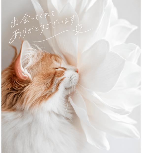 🩵T様💌 妄想ワールド紳士🎩