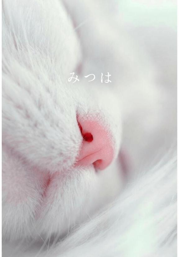 小さい秋見つけた♡