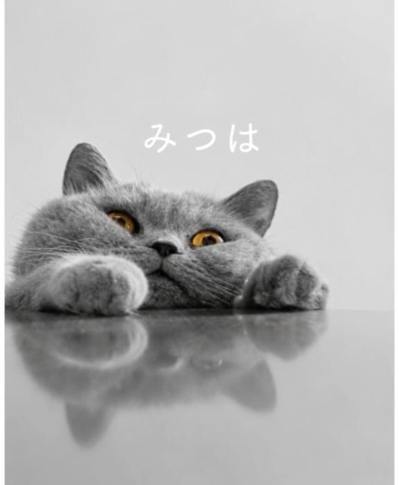 みつは